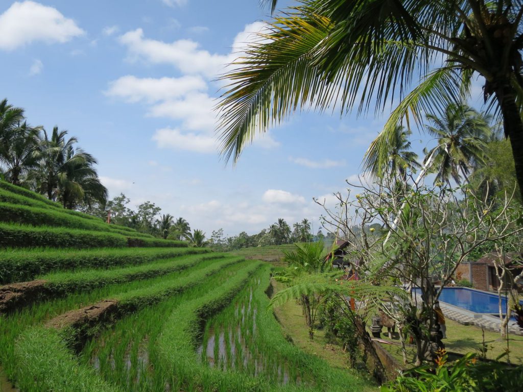 Hotels | Rama Tours