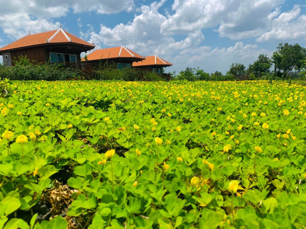 Hotels | Rama Tours