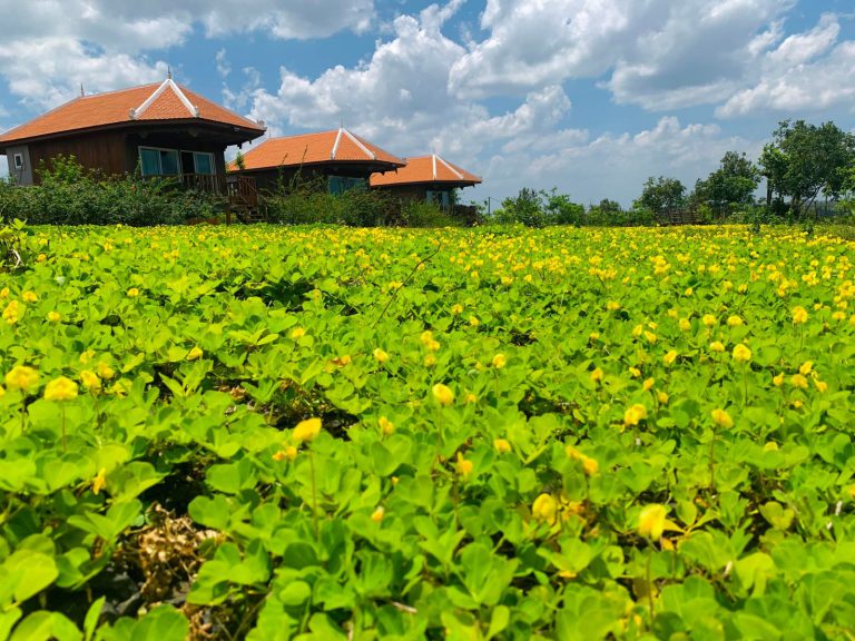 Hotels | Rama Tours