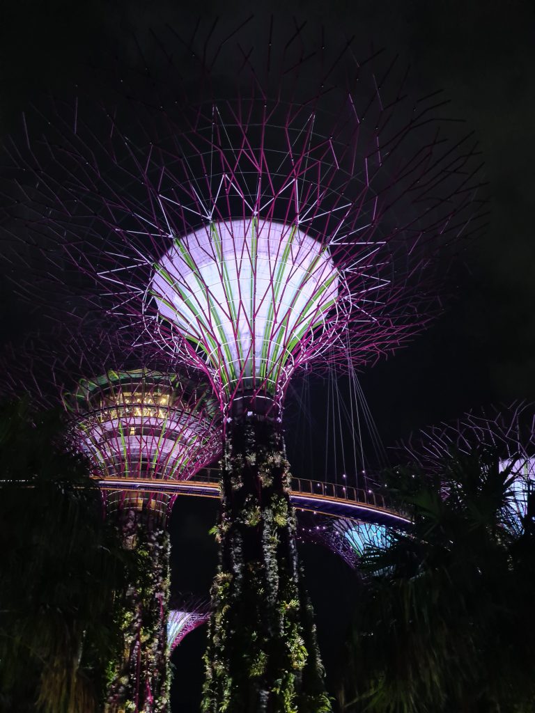 Singapore lichtshow collega Lisa