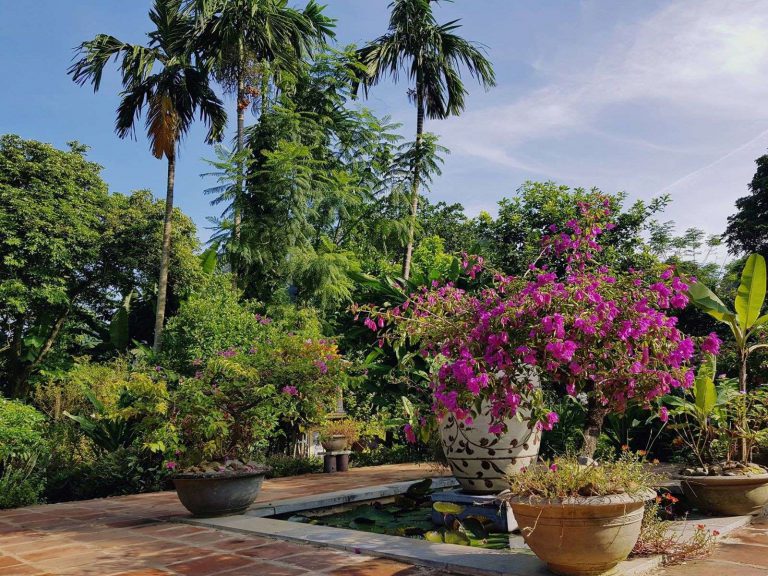 Hotels | Rama Tours