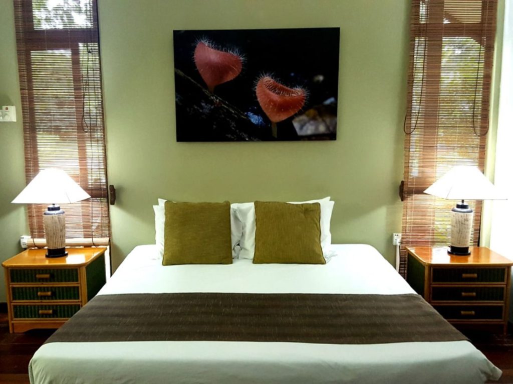 Hotels | Rama Tours