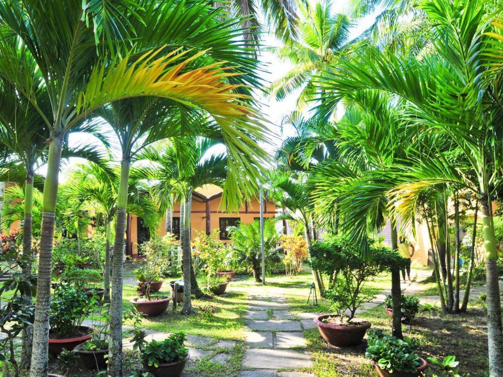 Hotels | Rama Tours