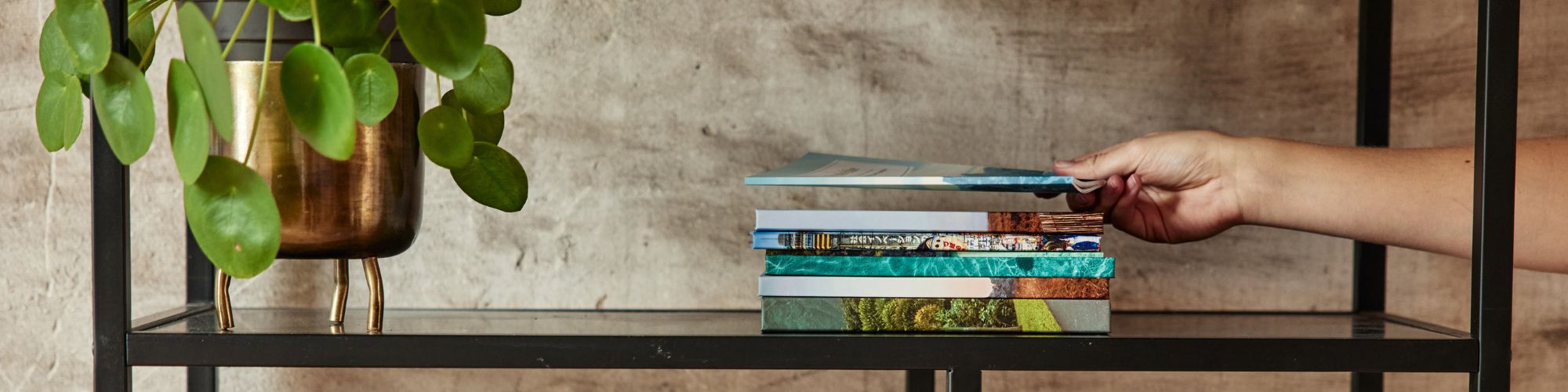 Travel Diaries banner reisboeken boekenplank