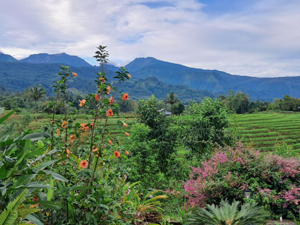 Malino | Rama Tours