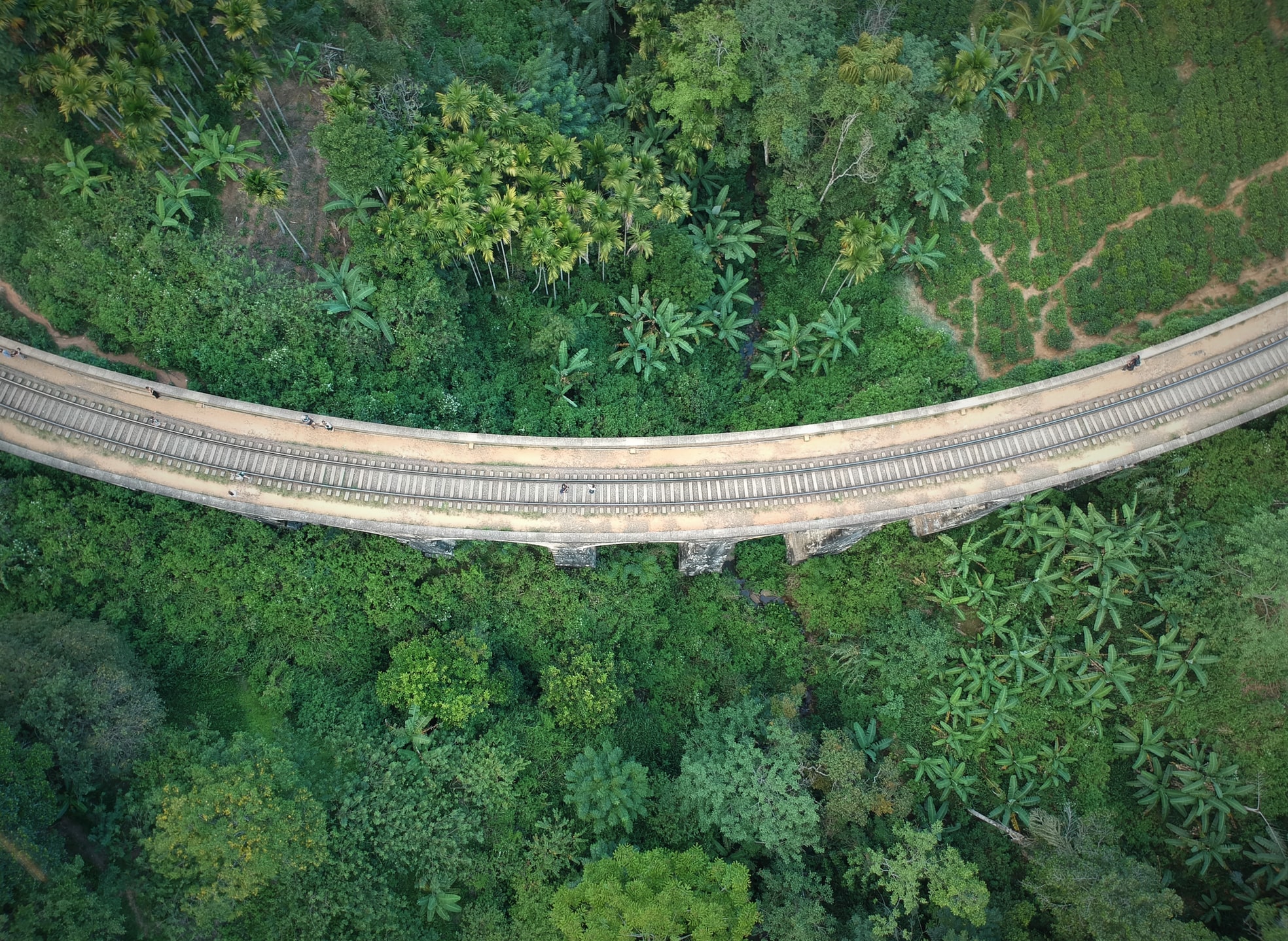 Rondreis Sri Lanka, Ella, Nine arches bridge