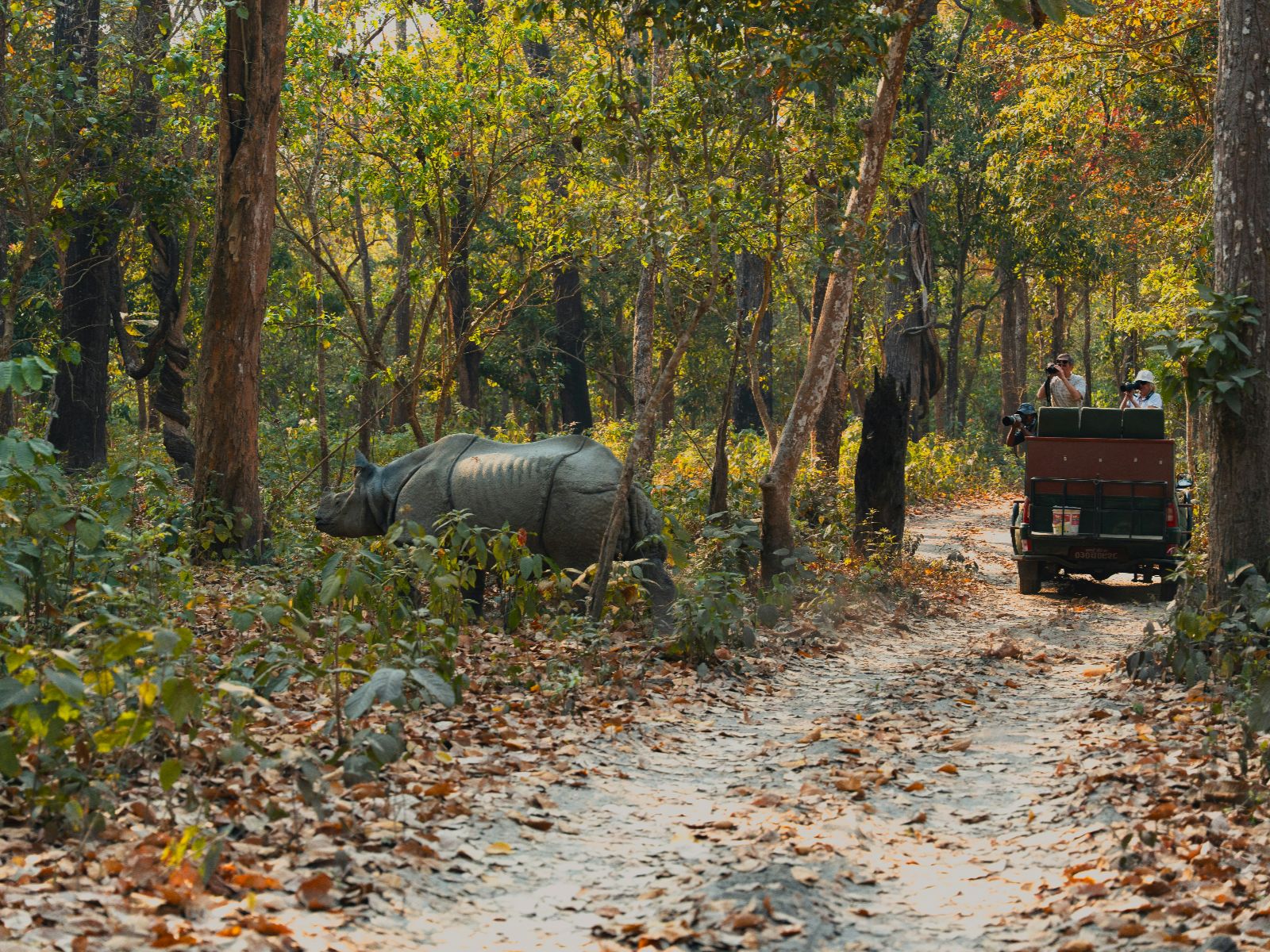 Rondreis Nepal, Bardyia National Park, National Park Neushoorn