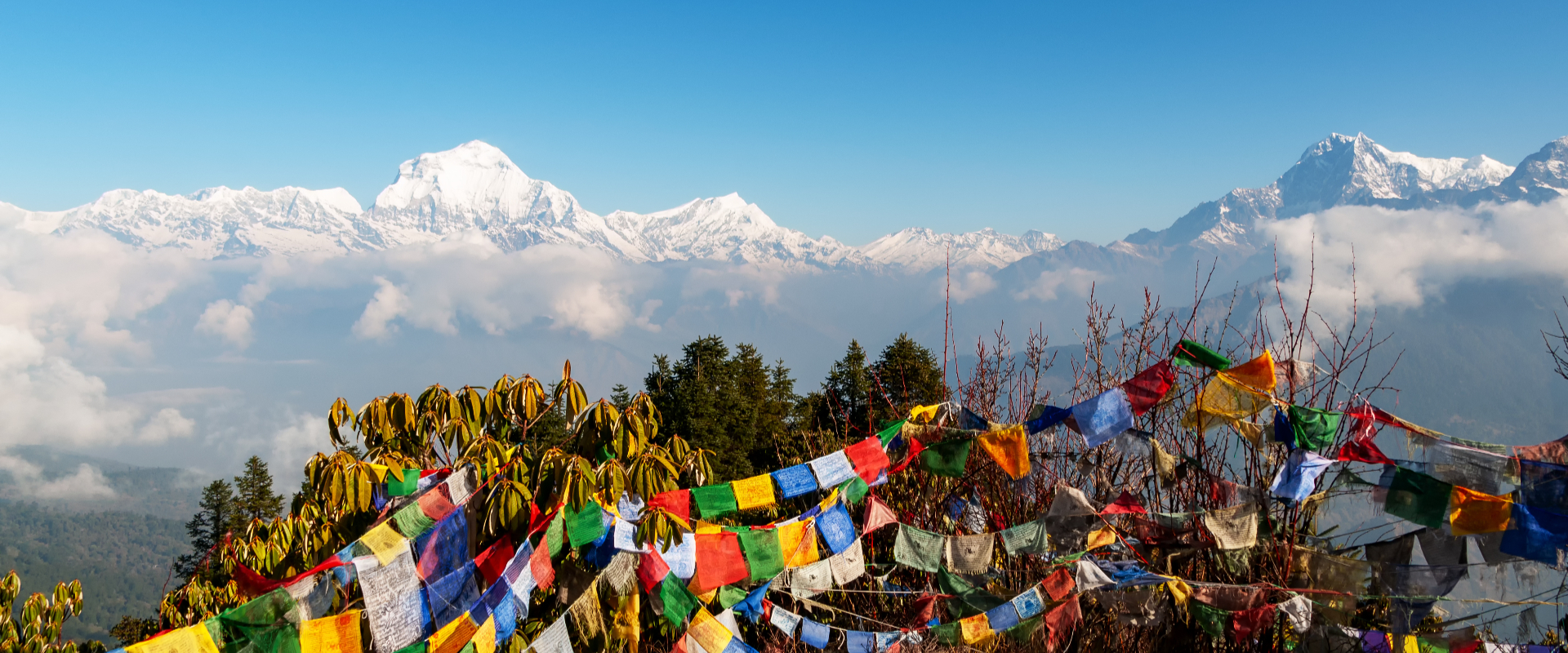 Rondreis Nepal, Pokhara, Uitzicht over Annapurna, gebedsvlaggetjes