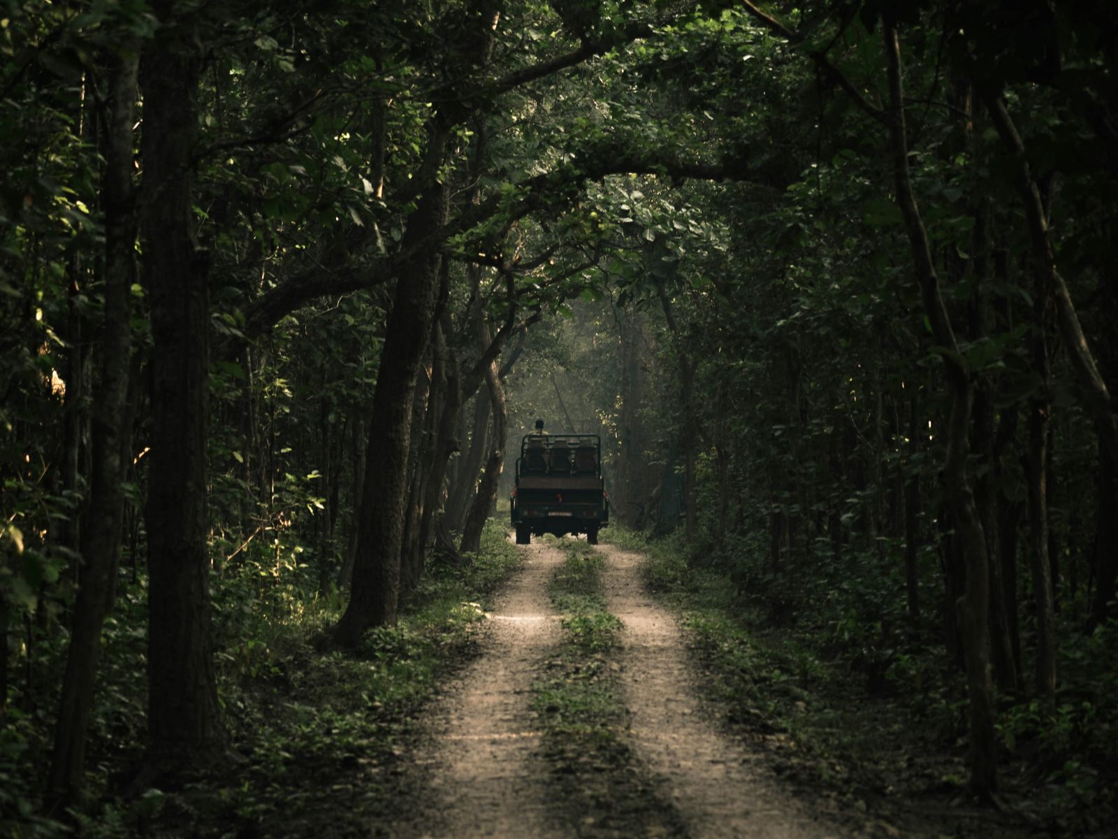rondreis nepal, bardia nationaal park, safari jeep in jungle