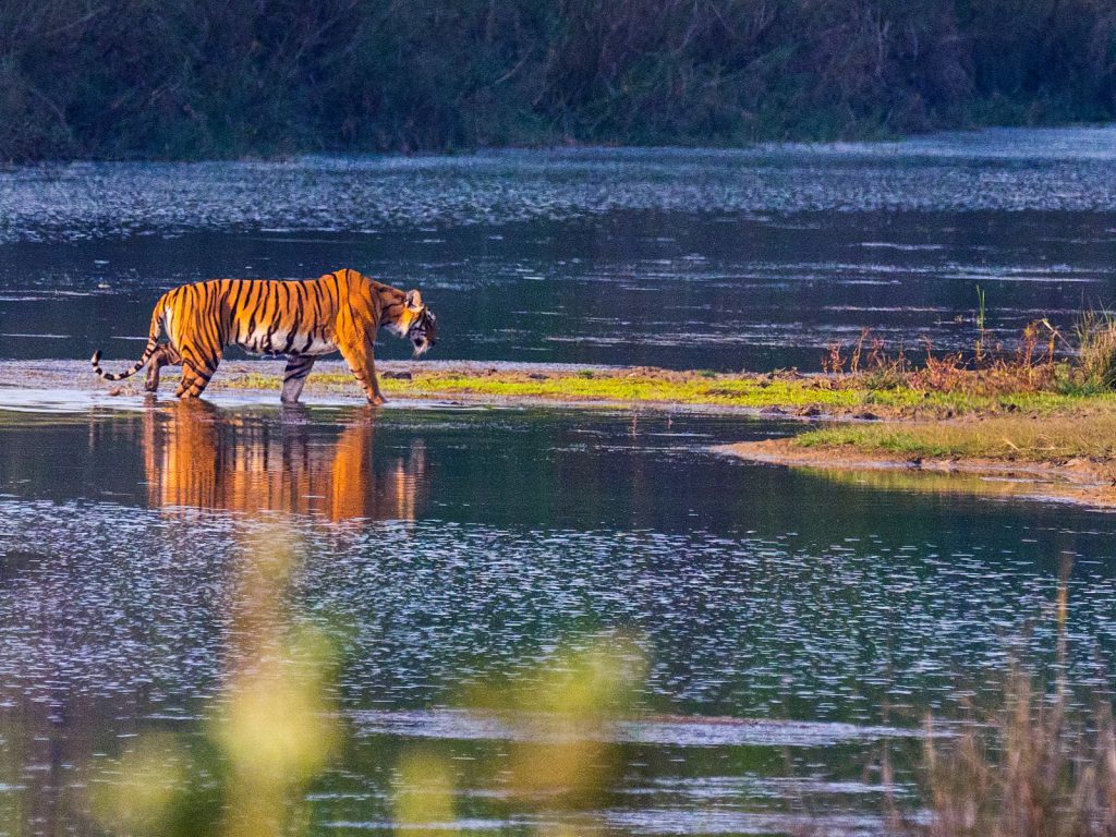 Bardia Nationaal Park | Rama Tours