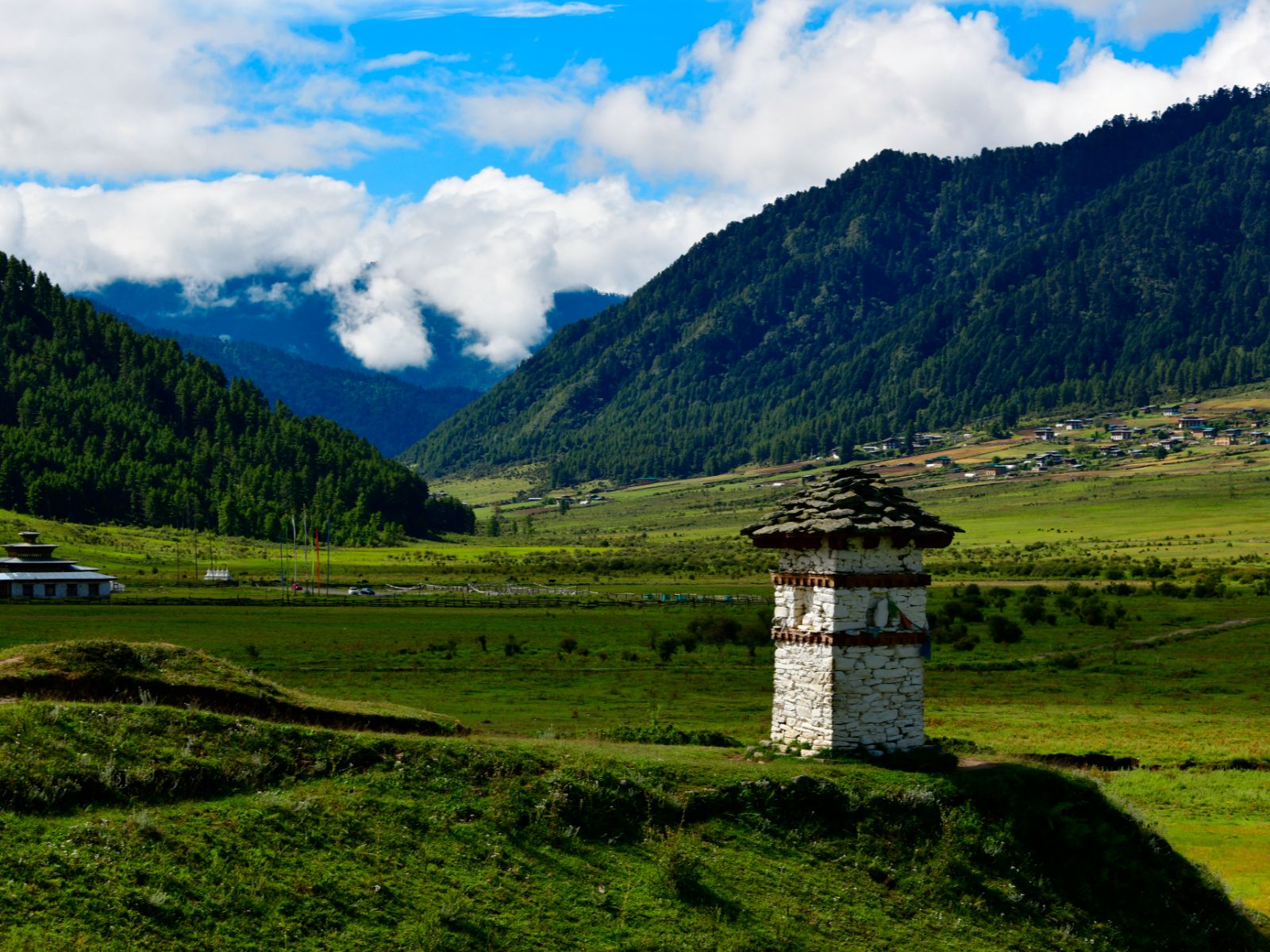 Rondreis Bhutan, Phobjikha, groene heuvels