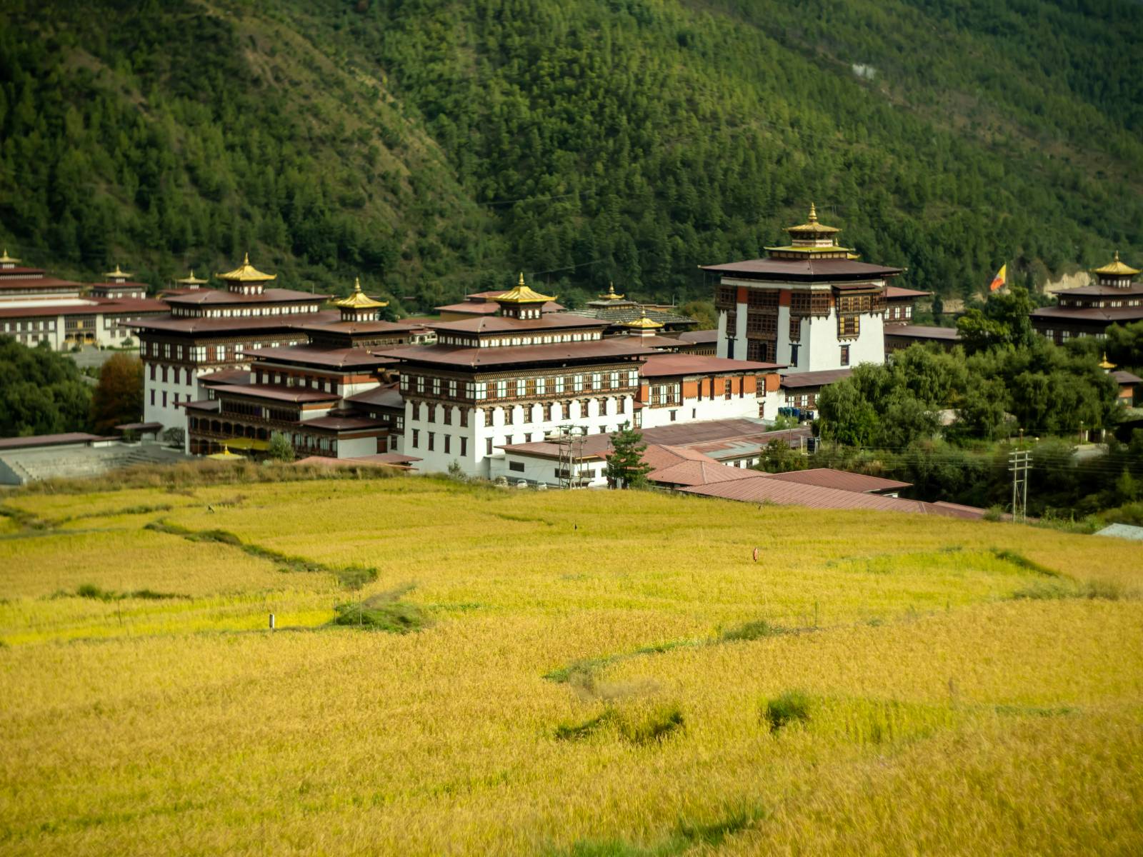 Rondreis Bhutan, Thimphu, Tashicho dzong