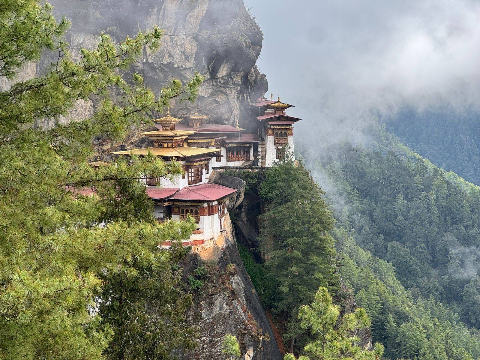 Rondreis Bhutan, Tiger's Nest, klooster met groene takken op voorgrond
