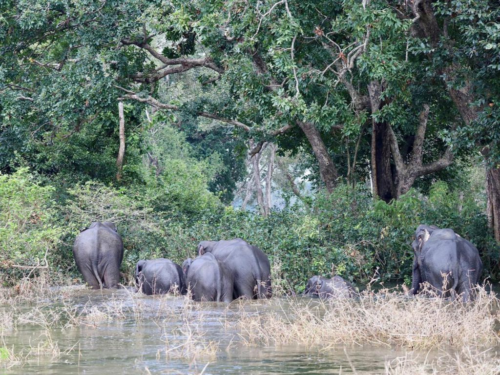Hoogtepunten | Rama Tours