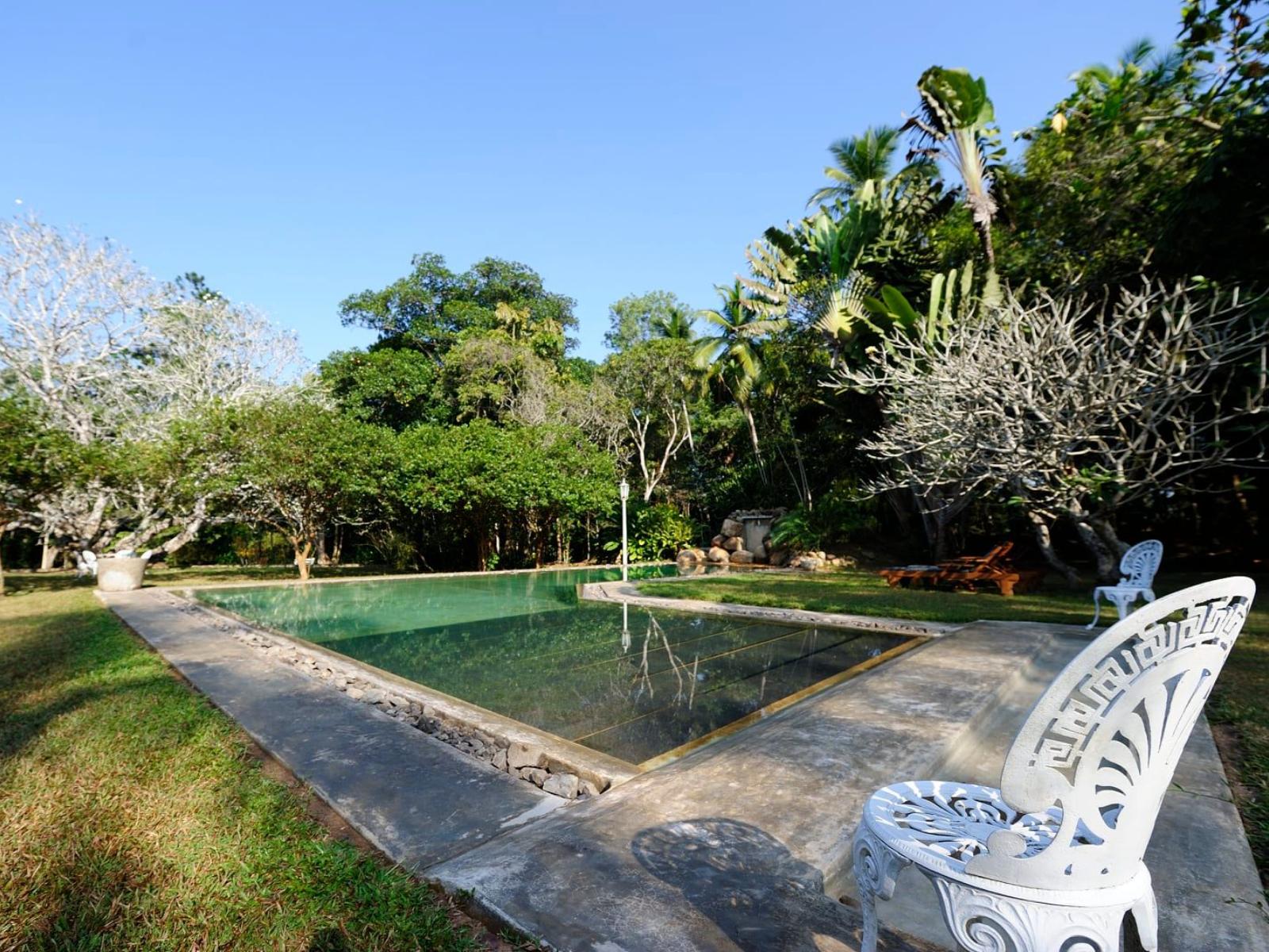 rondreis sri lanka - horathapola - horathapola estate hotel - zwembad met stoel