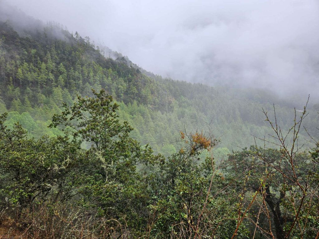 Wandelroute Tiger's Nest, mist tussen de bergen