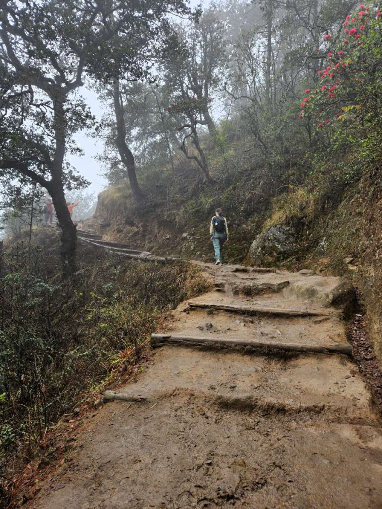 Wandelroute Tiger's Nest, traptreden Judith 2