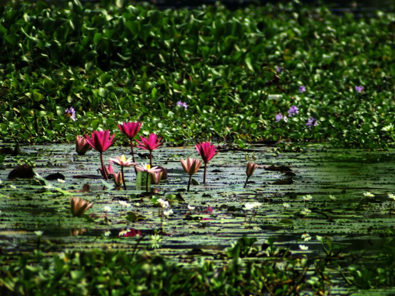 Hoogtepunten | Rama Tours