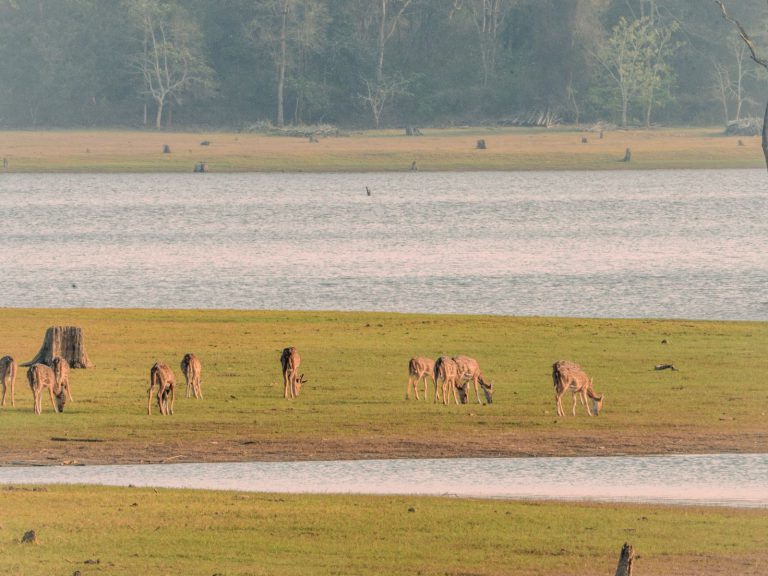 Hoogtepunten | Rama Tours