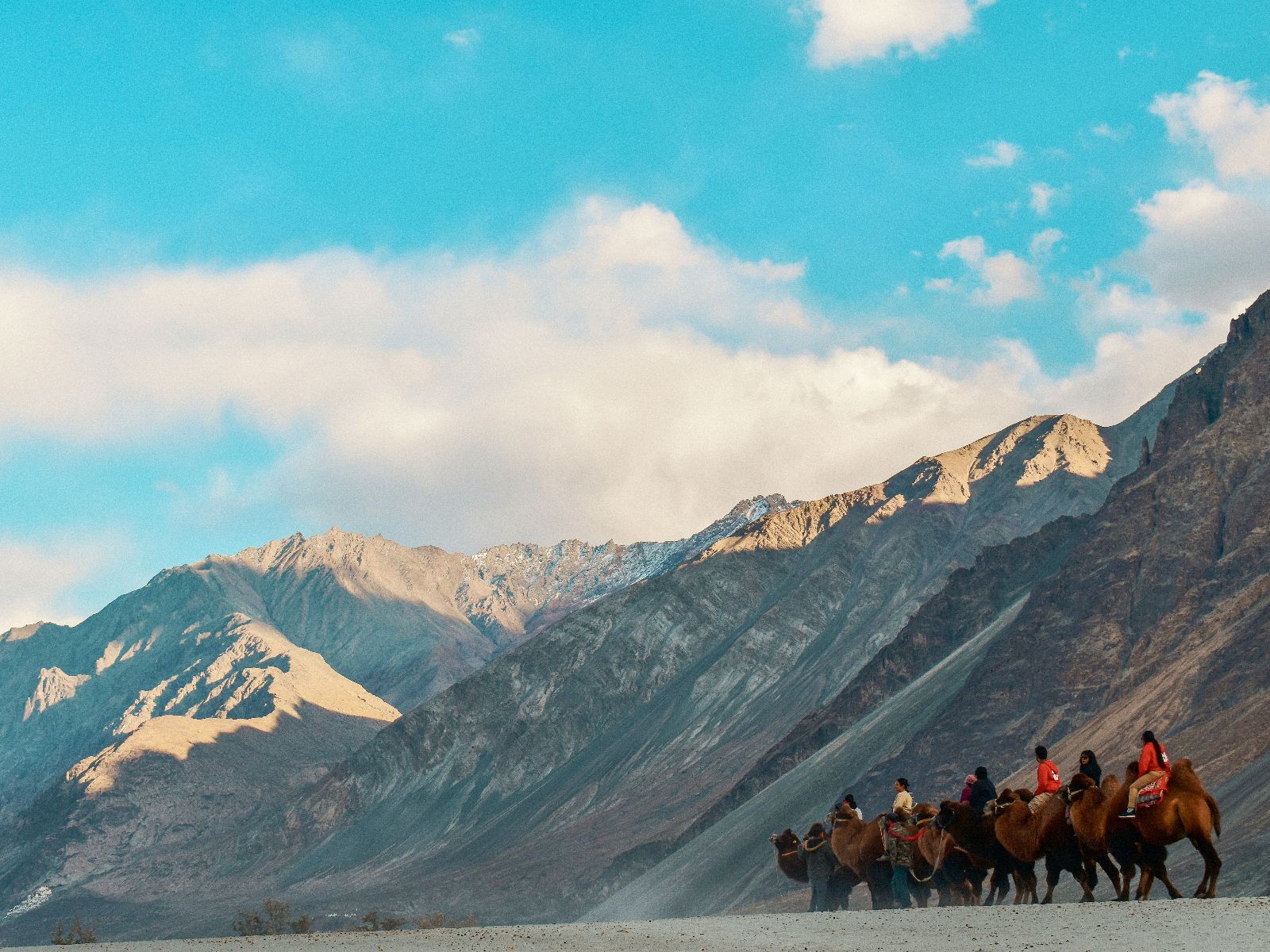 Rondreis India, Nubra Valley, Mensen op kamelen in vallei tussen bergen
