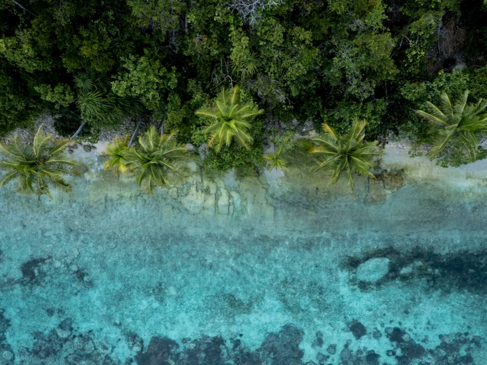 Rondreis Papua, Kri, bovenaanzicht