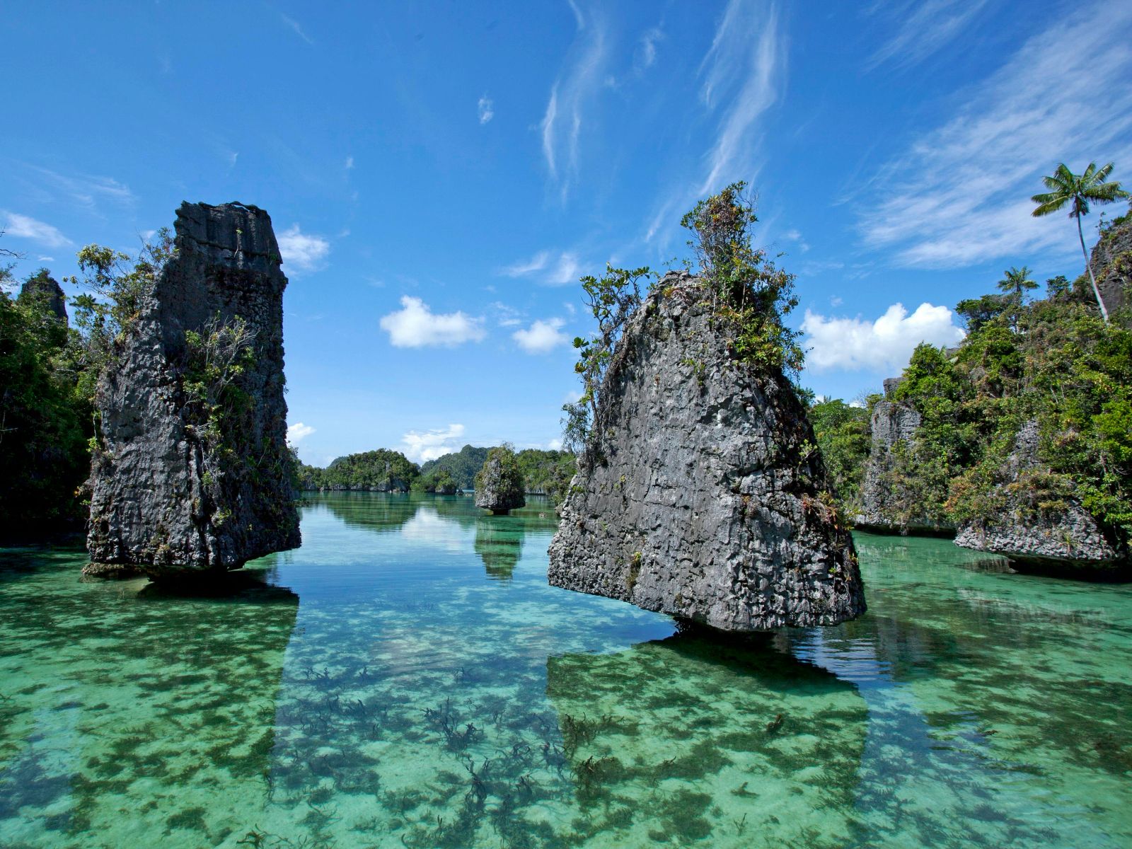 Rondreis Papua, Misool, rotsformatie in zee