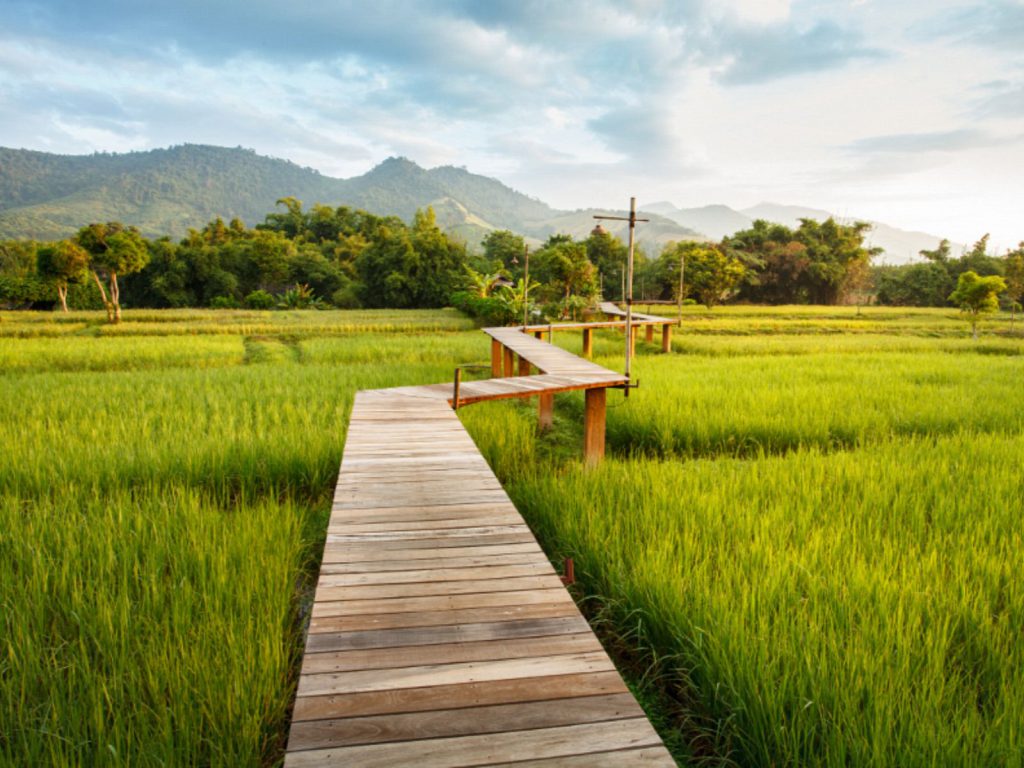 Hotels | Rama Tours