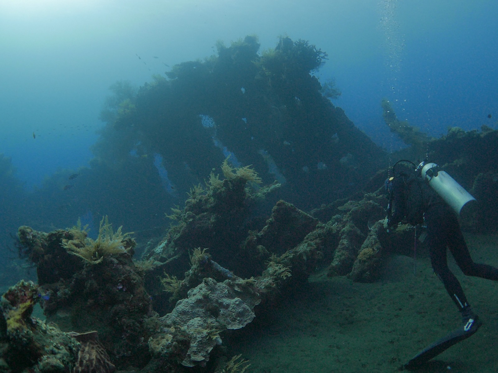 Rondreis Indonesië, Bali, Tulamben, WW2 USAT Liberty wrak duiker