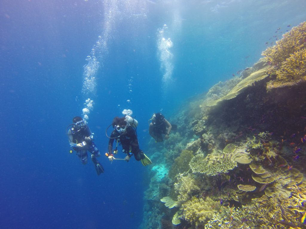Rondreis Indonesië, Kalimantan, duikers bij verticaal rif