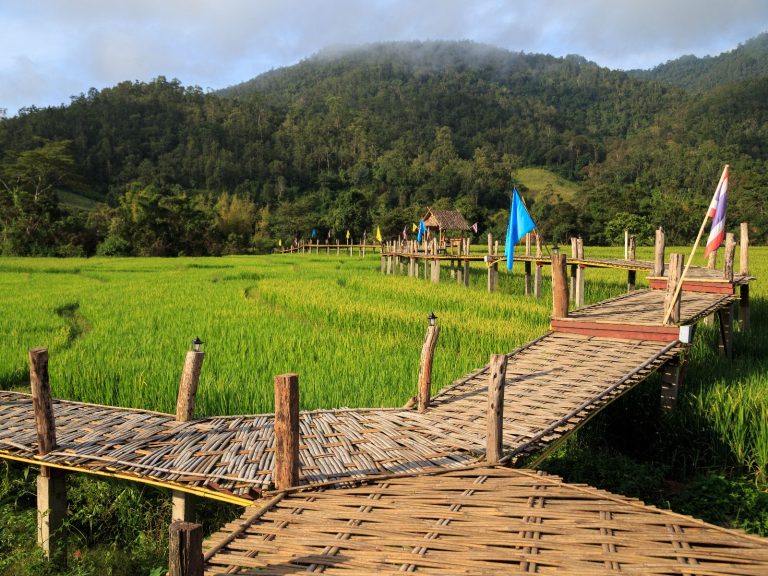 Hoogtepunten | Rama Tours