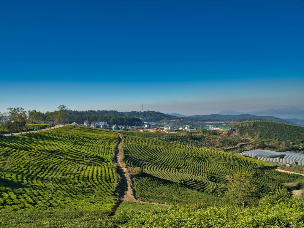 Hoogtepunten | Rama Tours