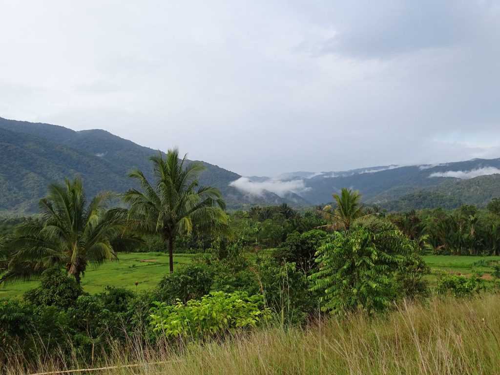 Bomba | Rama Tours