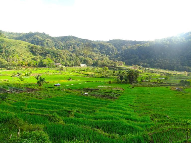 Hoogtepunten | Rama Tours