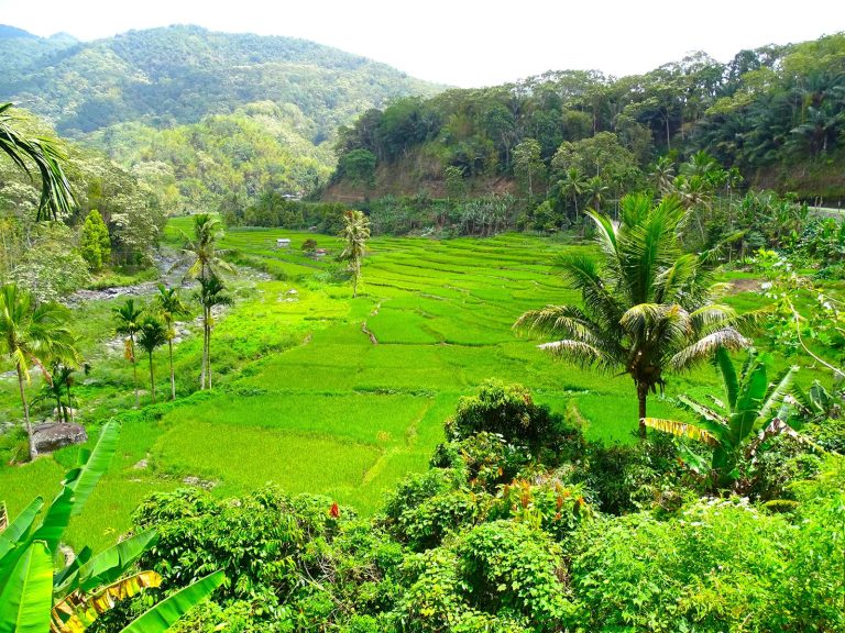 Hoogtepunten | Rama Tours