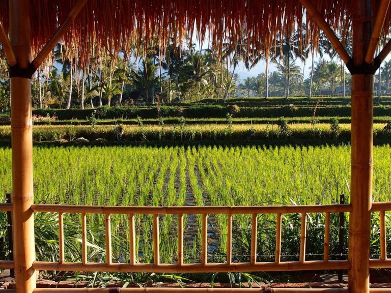 Hotels | Rama Tours