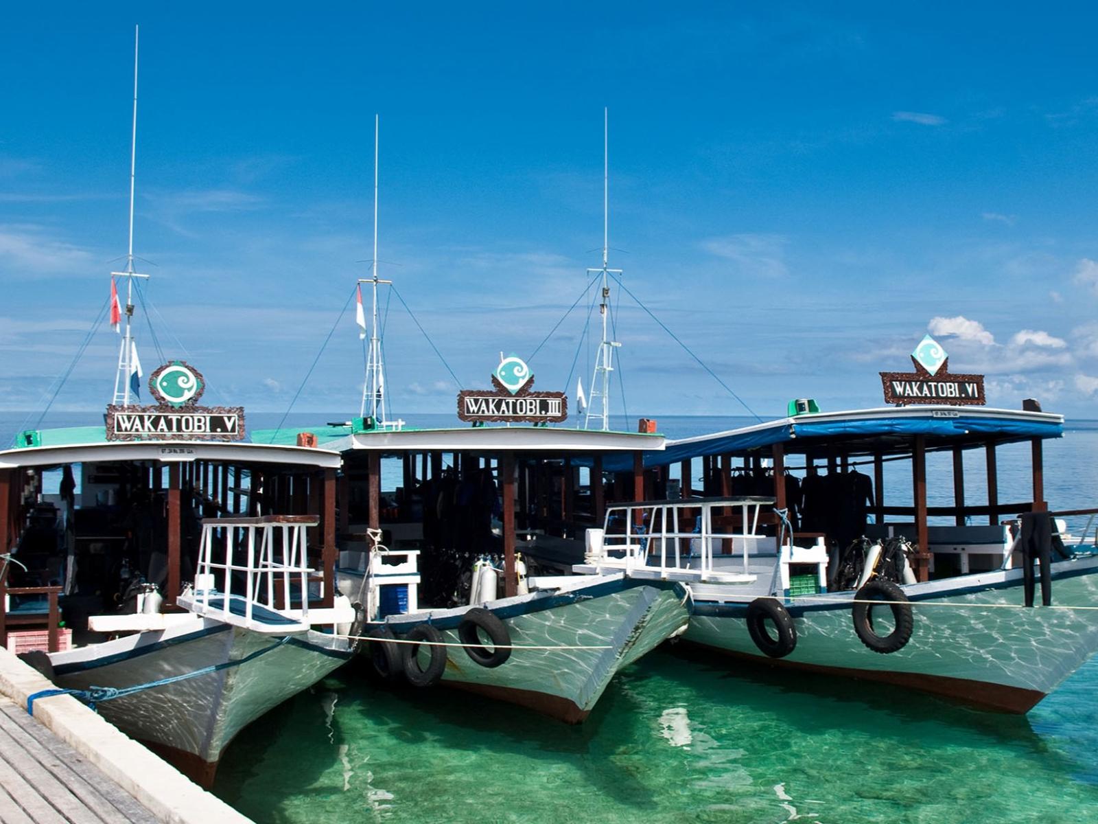 Rondreis Indonesië, Sulawesi, Wakatobi, boten