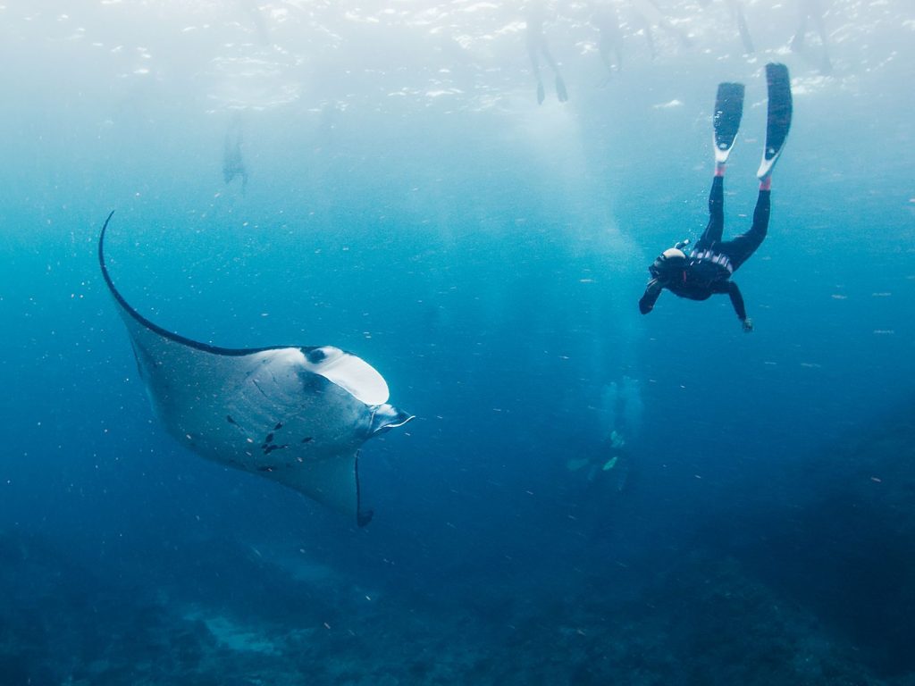 Rondreis Bali, Nusa Penida, mantarog, vrouwelijke freediver