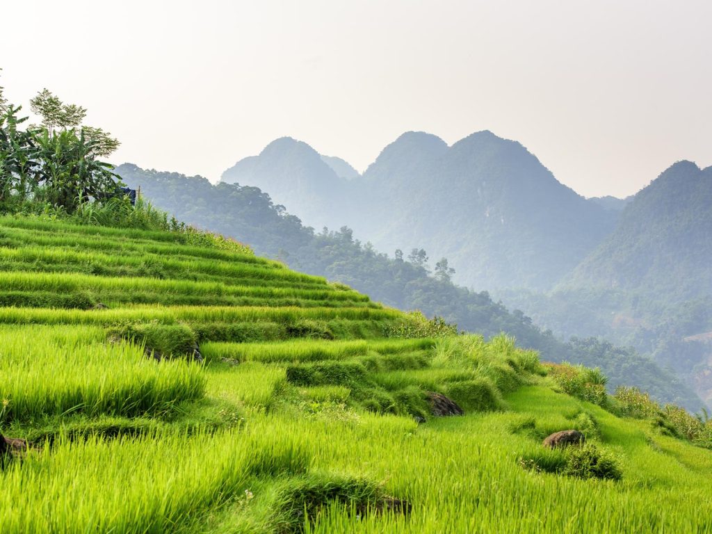 Hoogtepunten | Rama Tours