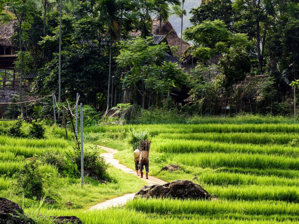 Hoogtepunten | Rama Tours