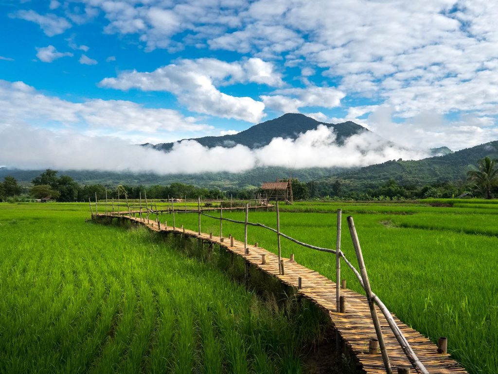 Zelf rijden door veelzijdig Noord-Thailand | Rama Tours