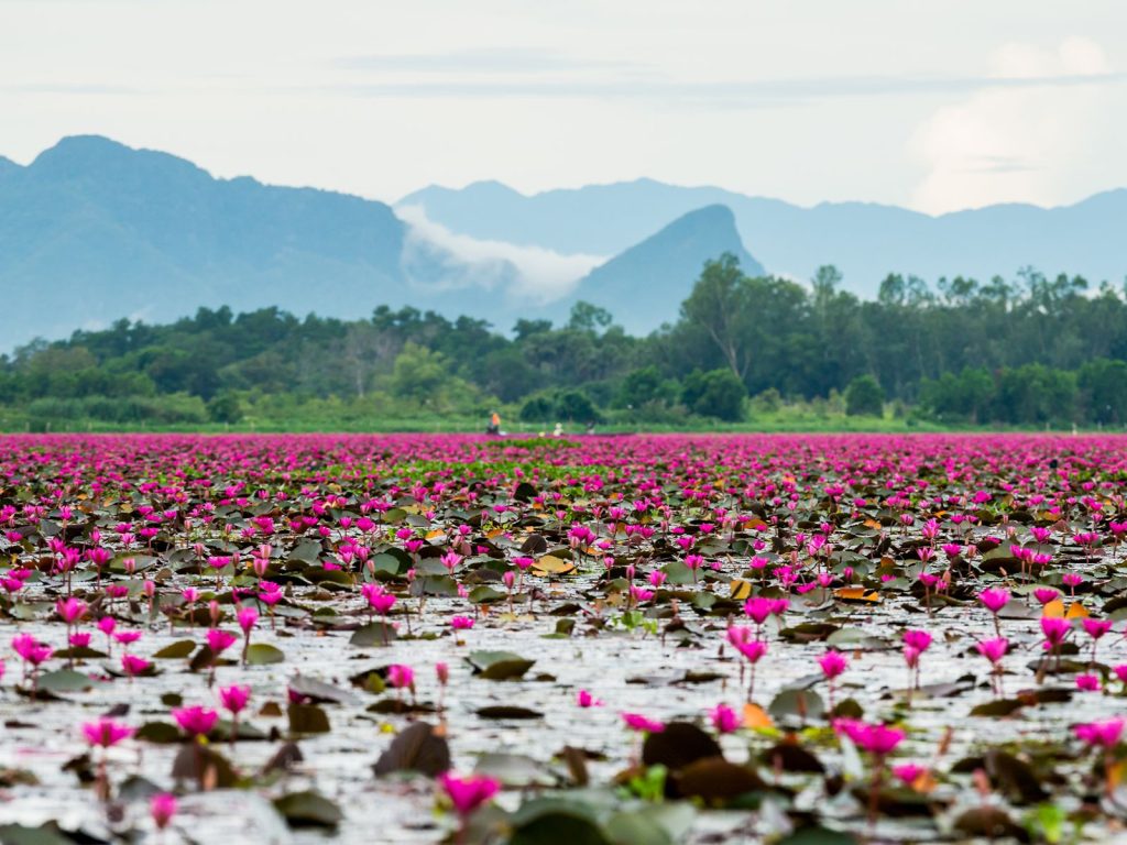 Talay Noi | Rama Tours